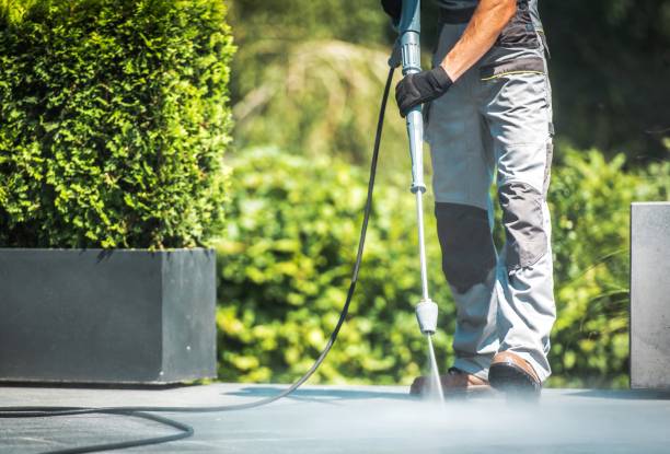 Best Factory Floor Cleaning  in Elizabeth Lake, CA