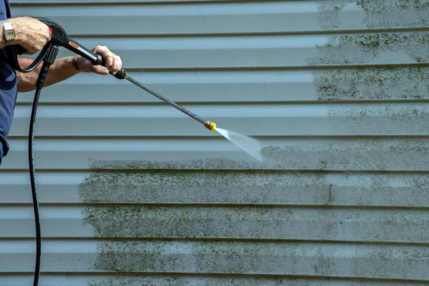 Best House Exterior Washing  in Elizabeth Lake, CA